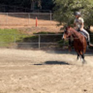 Meet your Posher, Joscelin